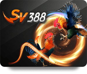 78Win Review Chuyên Môn: Analyzing Its Betting Options and Services